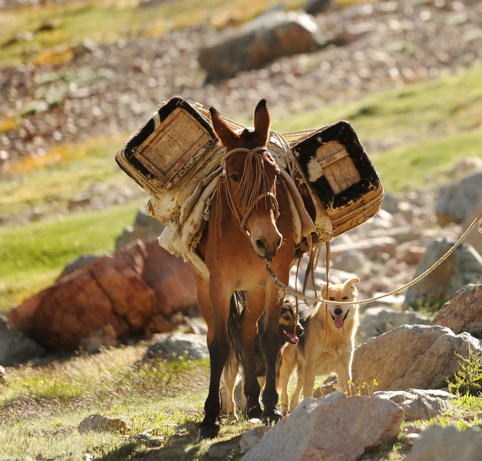 10-fotos-03.webp