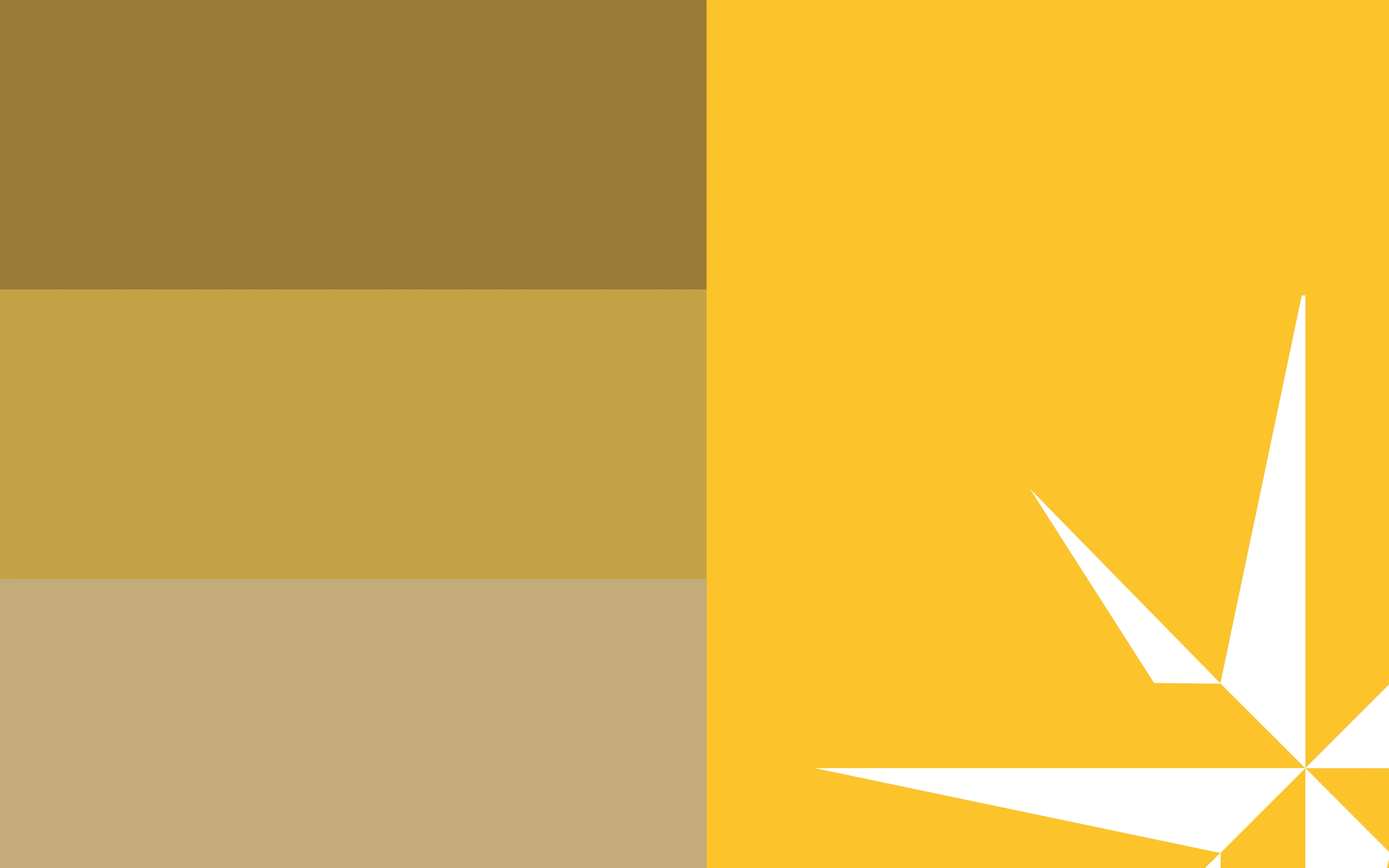 04-paleta.webp