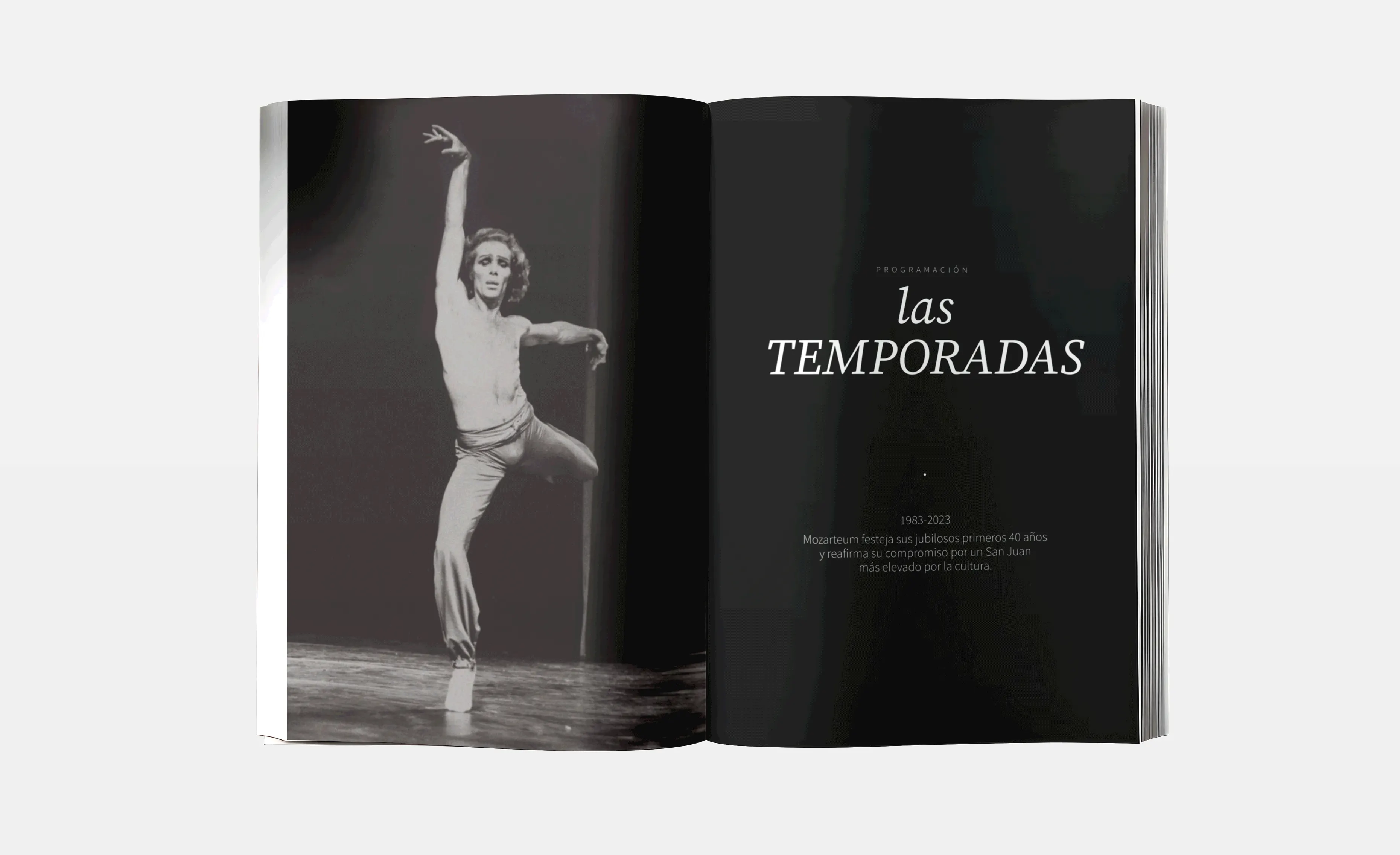 07-libro-2.webp