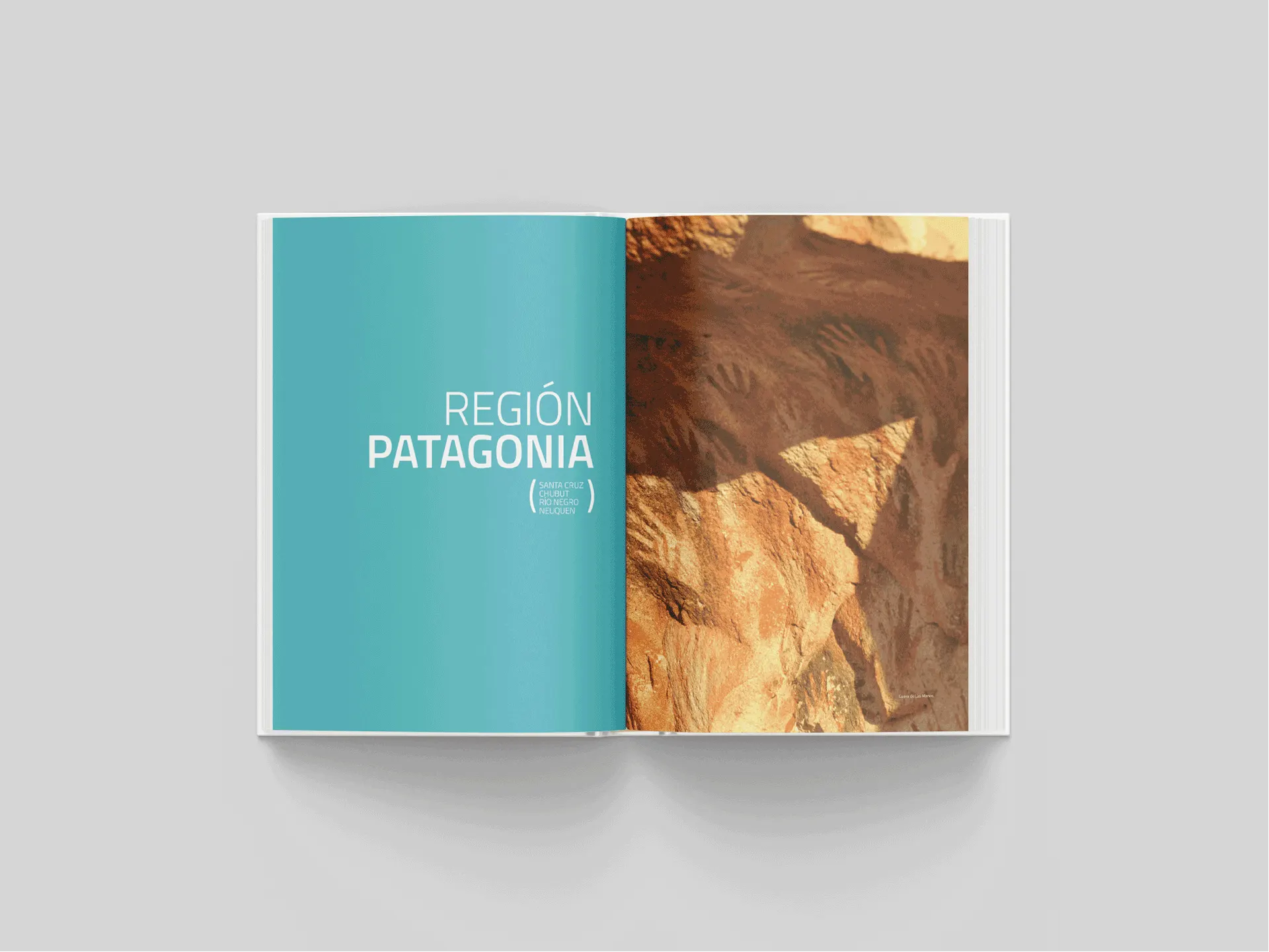 02-libro.webp