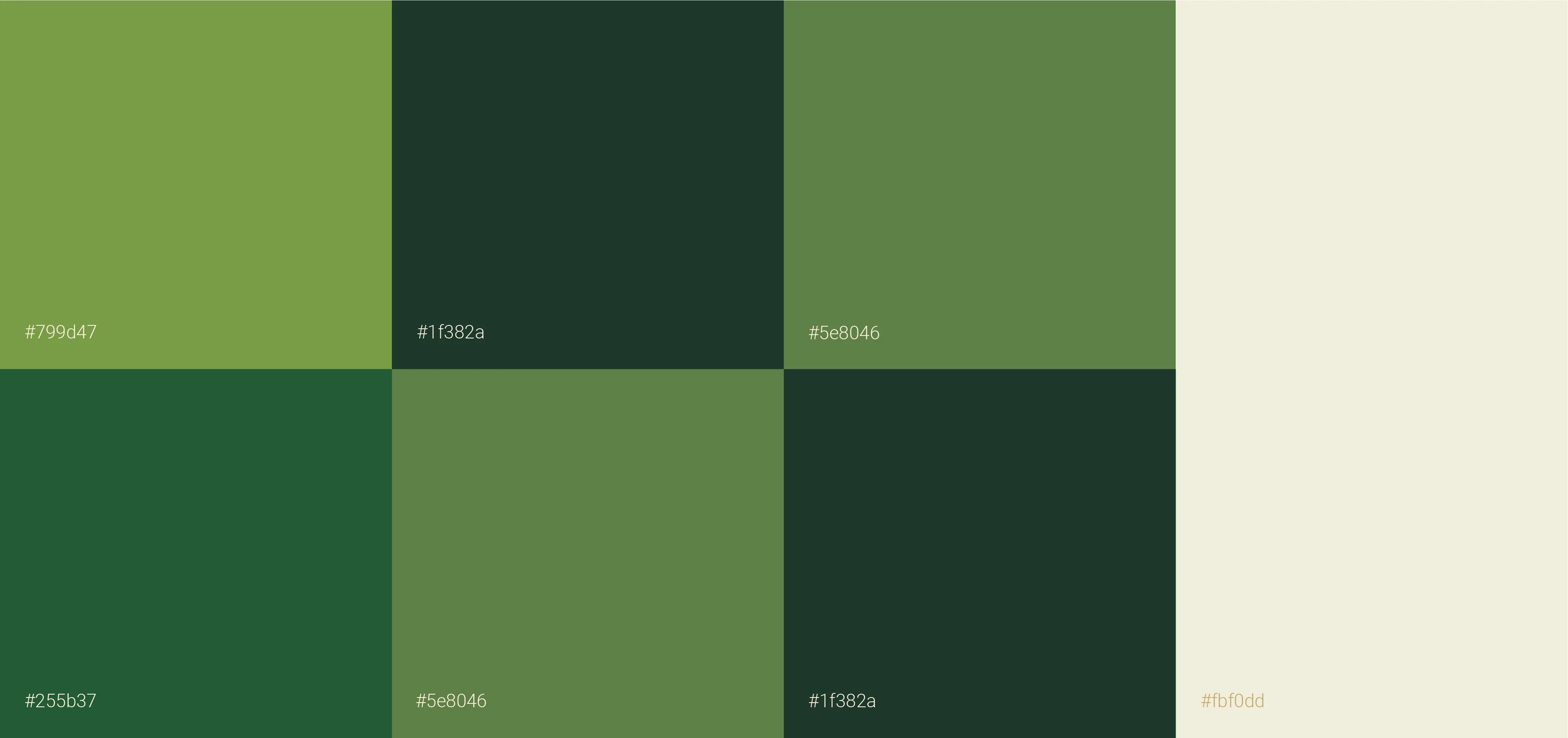 08-paleta.webp