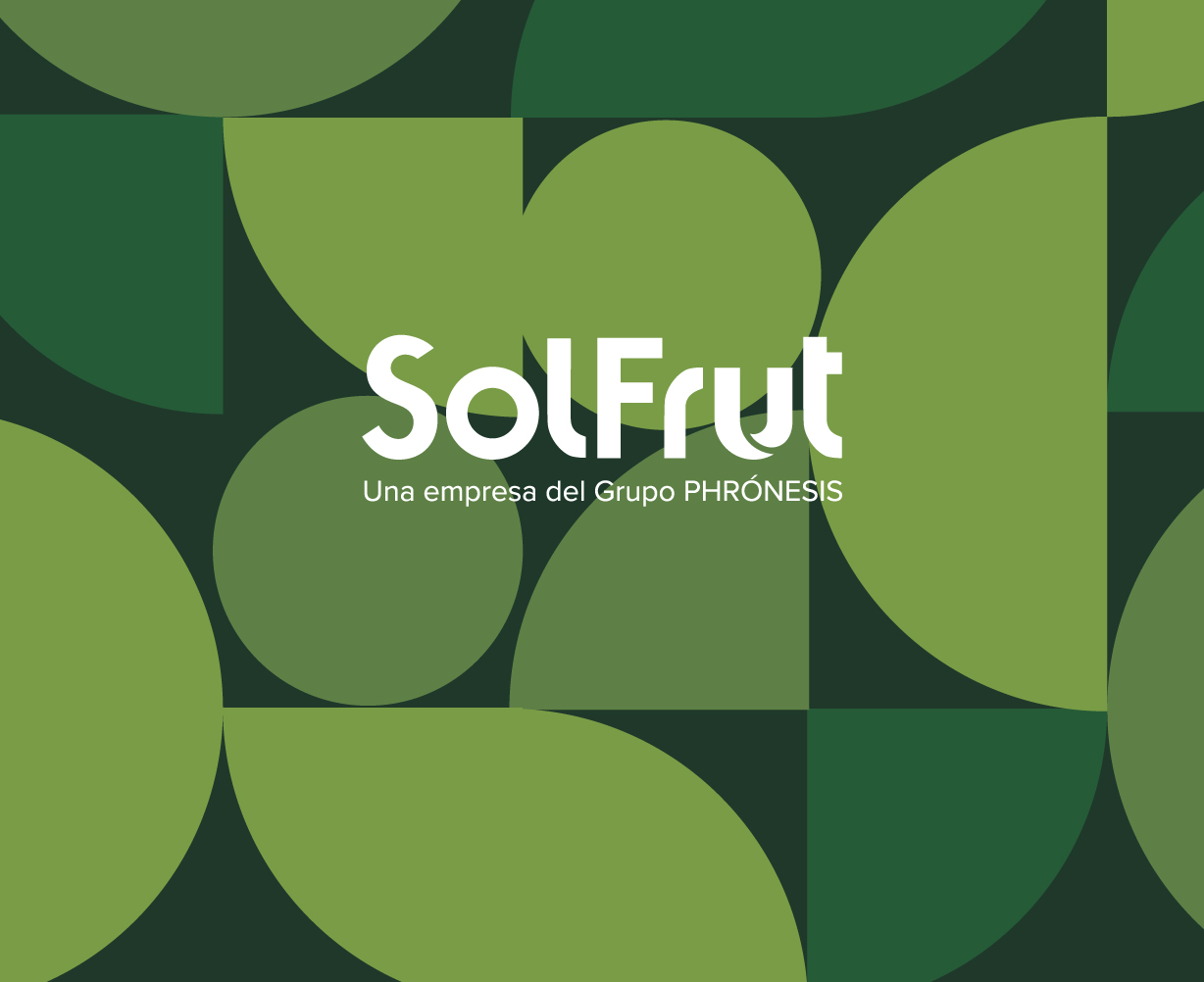 FNS SOLFRUT