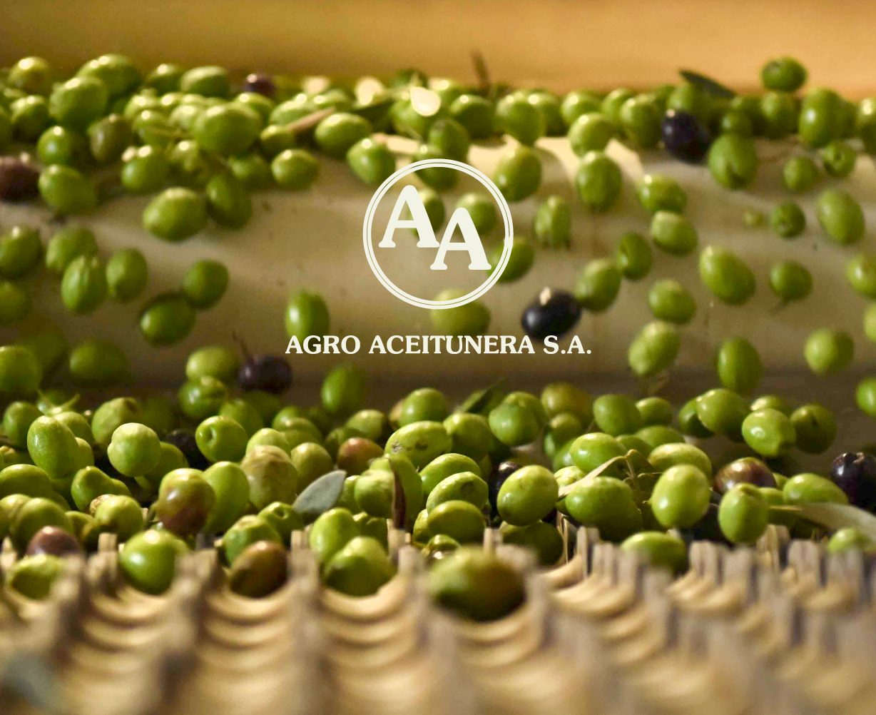 Agro Aceitunera