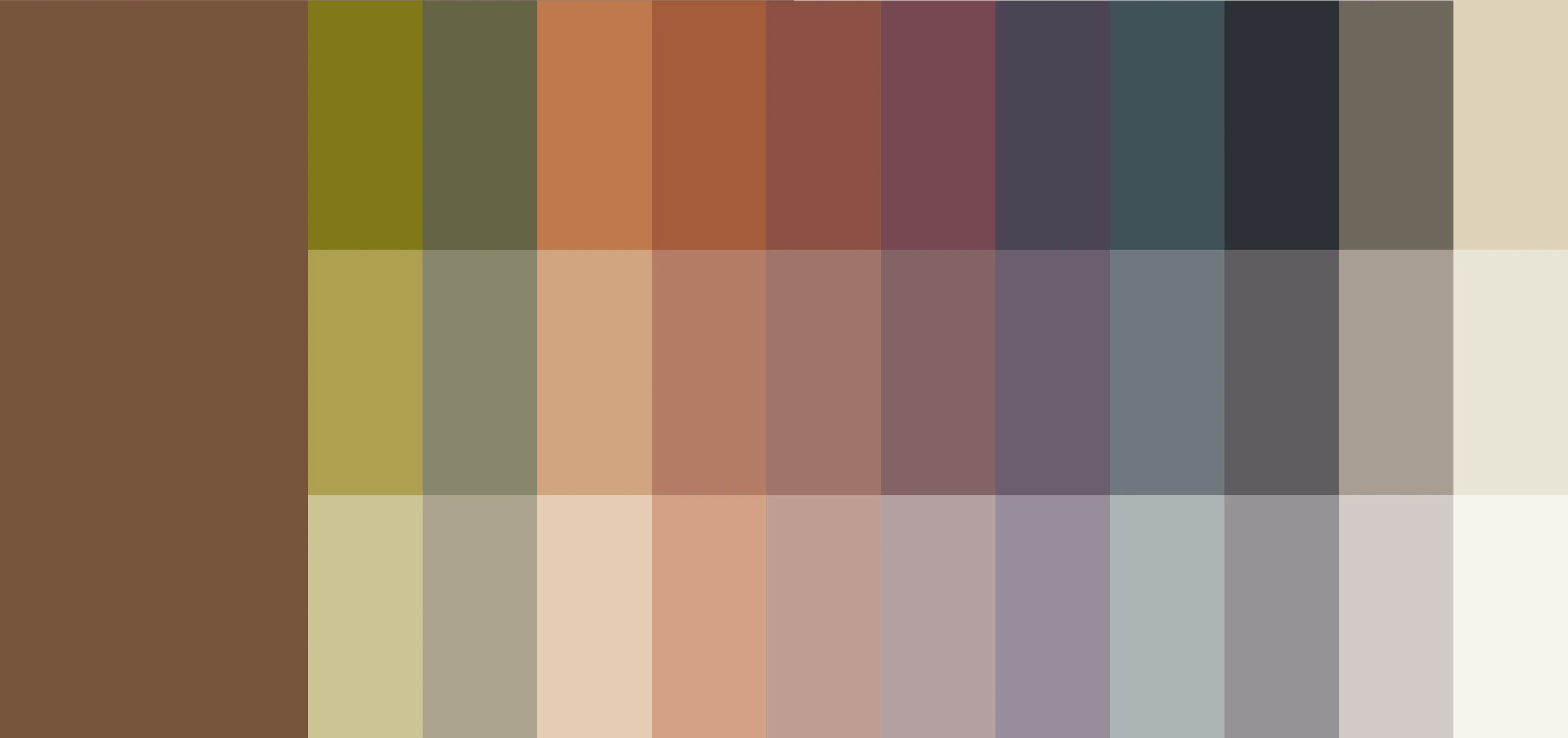 03-paleta-de-colores.webp