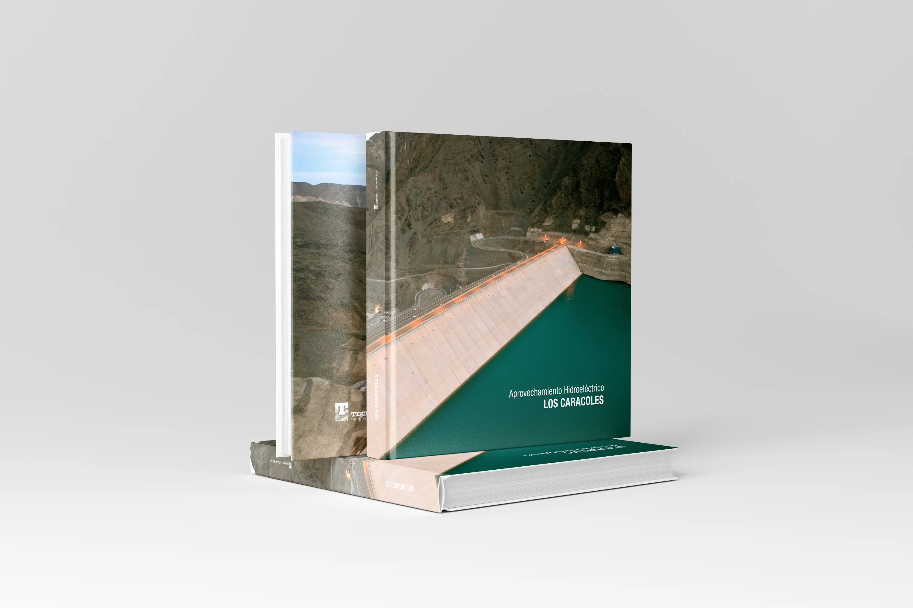 Libro Techint Caracoles 
