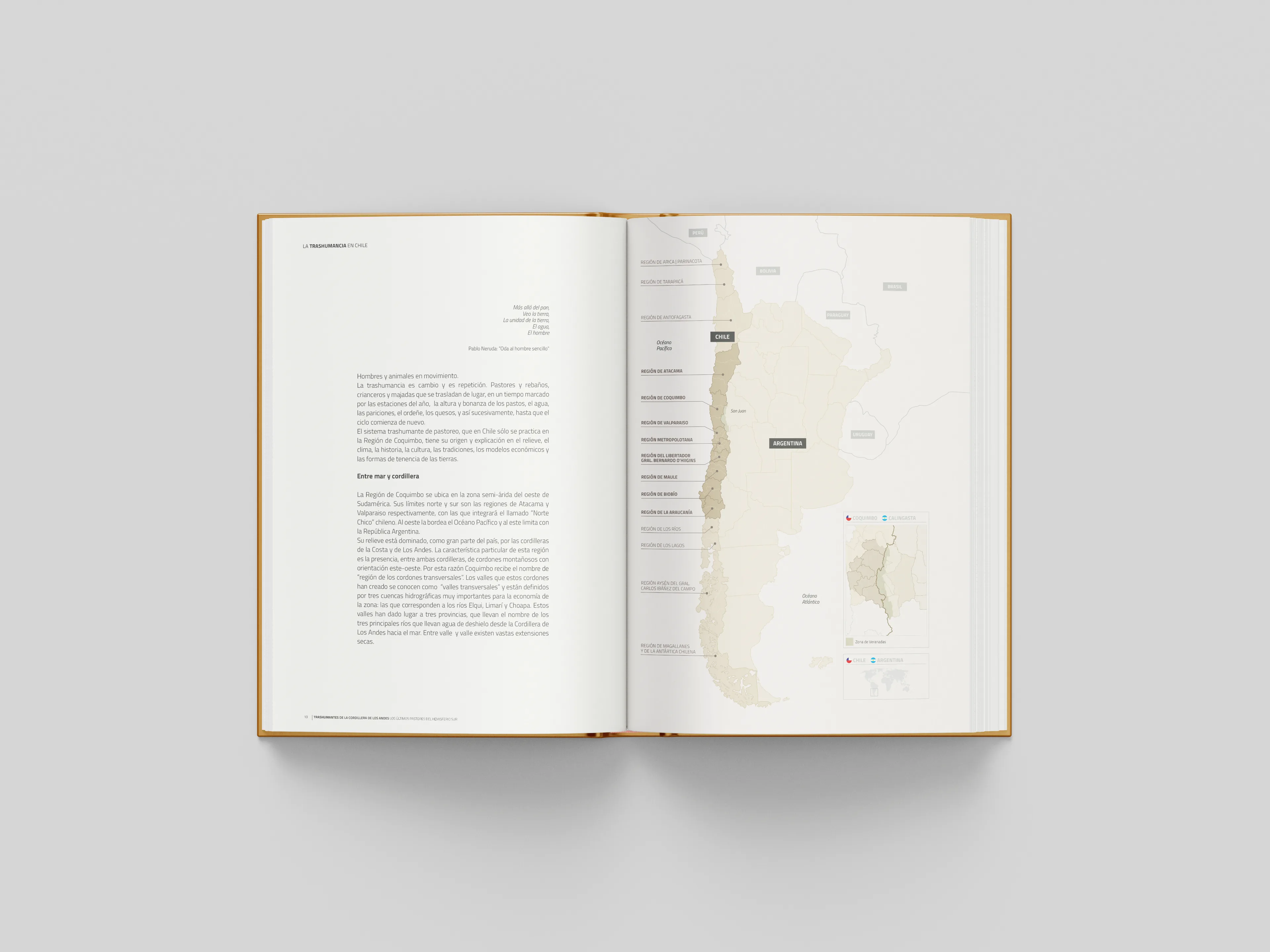 03-libro1.webp