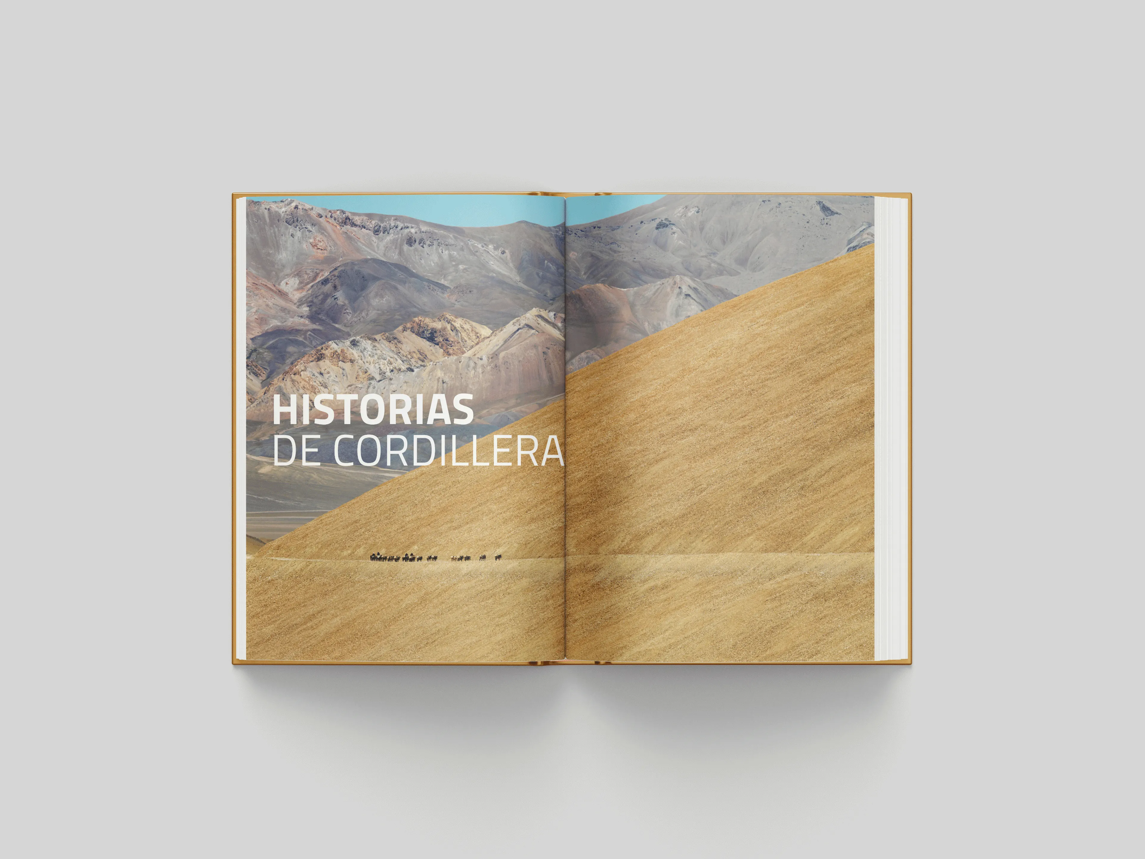 08-gif-libros.webp