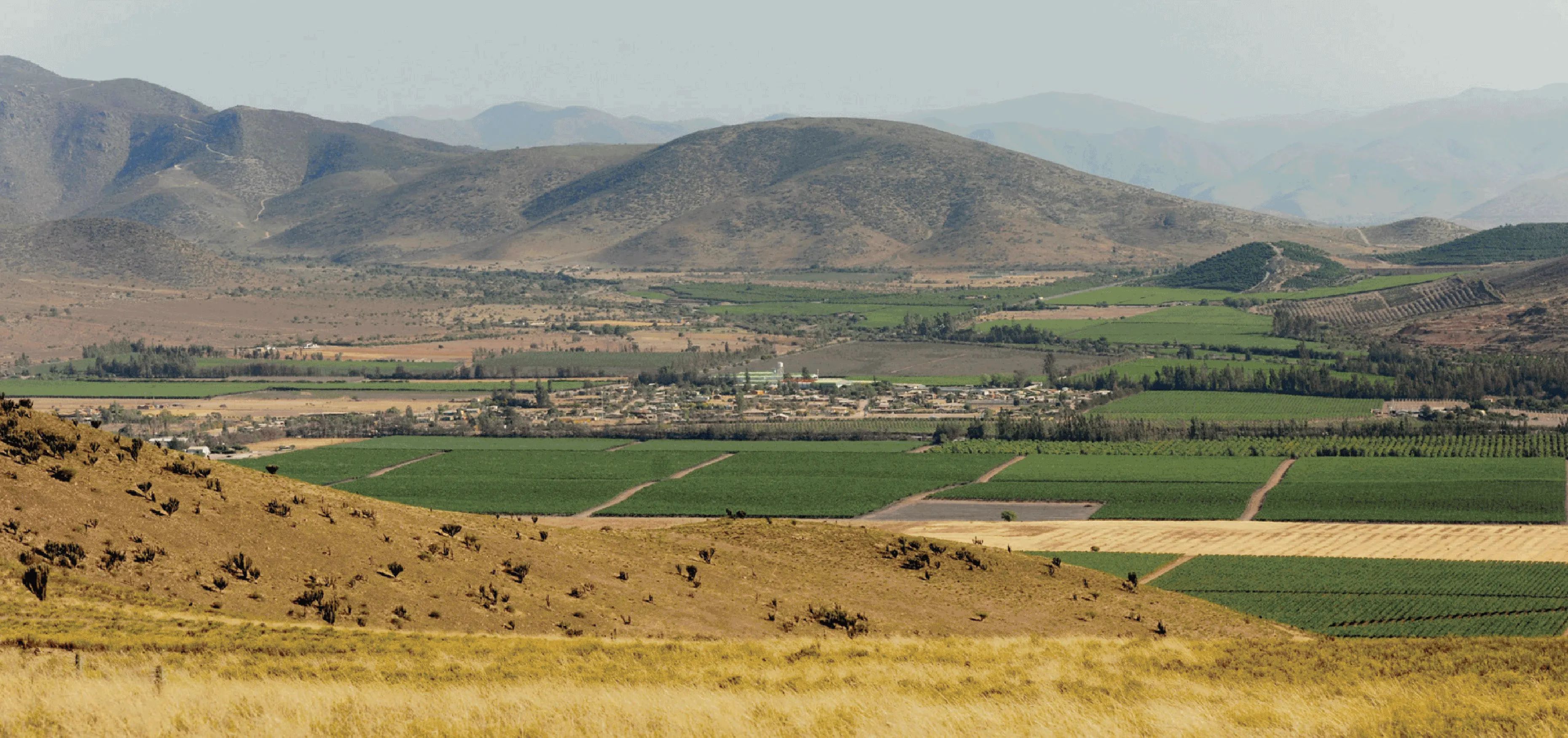12-paisaje.webp